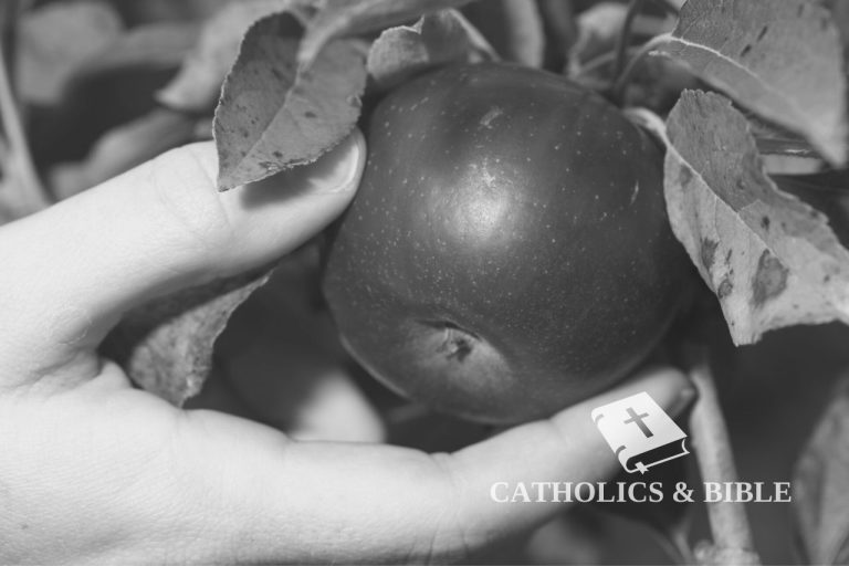 7 Elenco Cattolico Dei Peccati Capitali