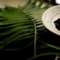 3a domenica di Quaresima 2023 – Sermone di padre Levine 3rd-Sunday-of-Lent-1024×683-850×300-1