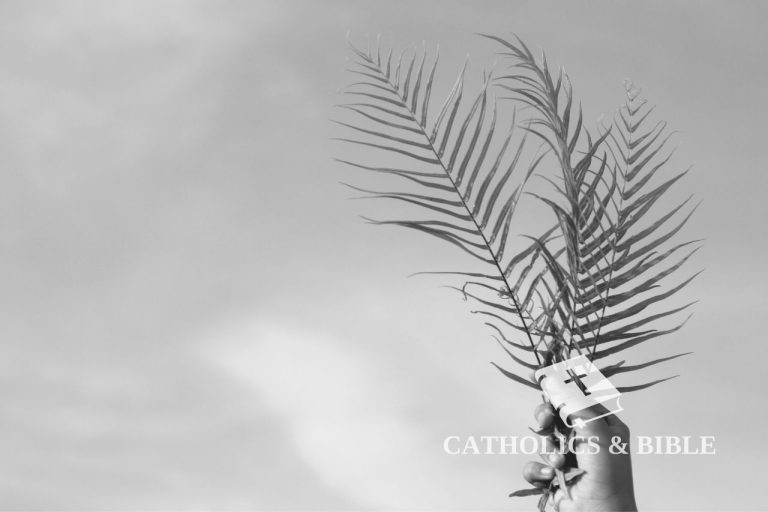 Come Smaltire Correttamente Le Palme Benedette?