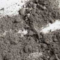 Mercoledì delle Ceneri 2023 – Sermone di Padre Levine Ash-Wednesday-1024×683-850×300-1