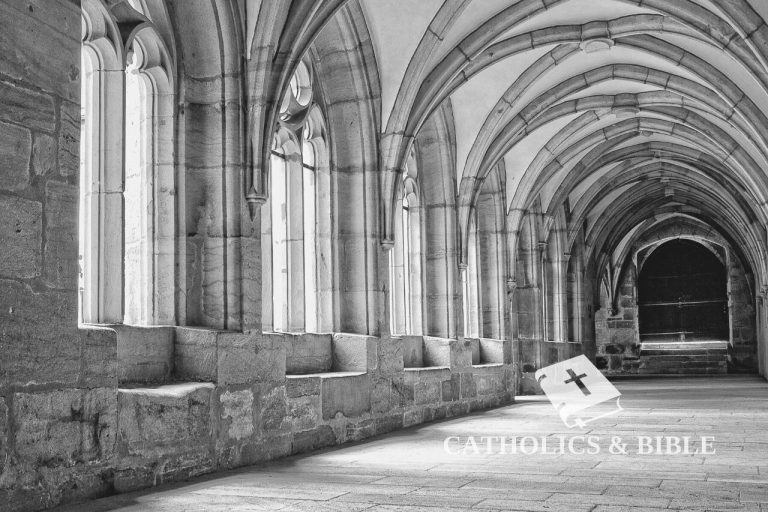 In Che Modo I Monasteri Cattolici Hanno Contribuito Alla Diffusione Del Cristianesimo?