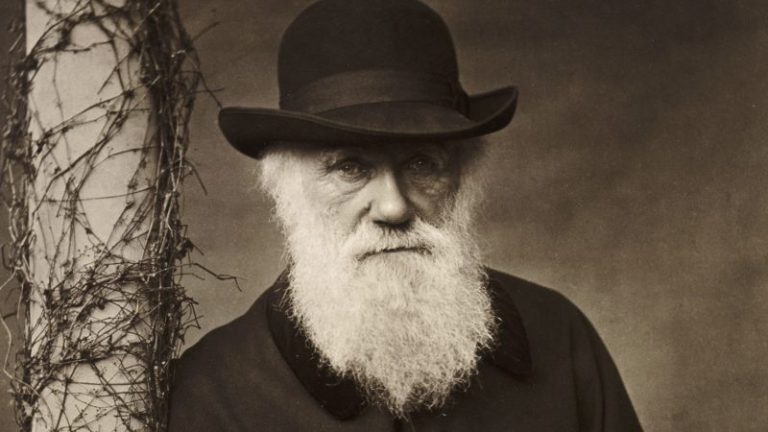 Citazioni di Charles Darwin