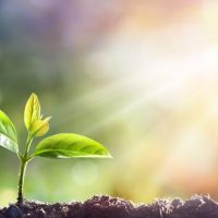 Life-Quotes-800×450-1