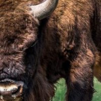 Untitled-design-1-850×300-2