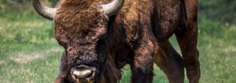 I pericoli della rabbia: una prospettiva cristiana