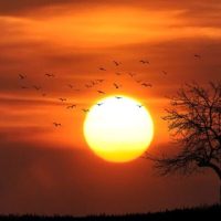 Oltre 30 versetti biblici edificanti sui tramonti bible-verses-about-sunsets-1-1024×683-850×400-1