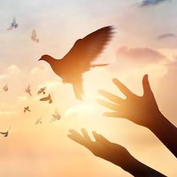 Citazioni sul perdono forgiveness-quotes