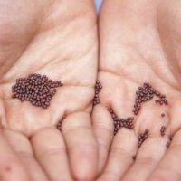 joshua-lanzarini-Vct0oBHNmv4-unsplash-1024×683-850×300-1