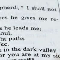 21 versetti dei salmi più popolari nella Bibbia psalms-verses-850×300-1